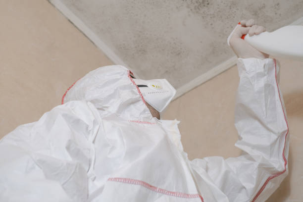 Best Mold Testing and Removal  in Linn, MO
