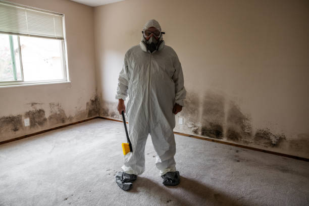 Best Mold Remediation  in Linn, MO